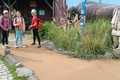 IMG_20260910_105039