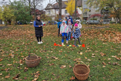 20251024_140420_resized_1