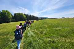 IMG-20250514-WA0033