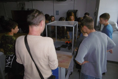 P1000781