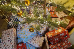 20251218_142541_resized