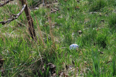 20260401_143024_resized_1