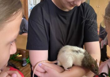 🐾 Den domácích mazlíčků v naší třídě 5.B🐾